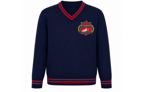 Blue Branded School Pullover