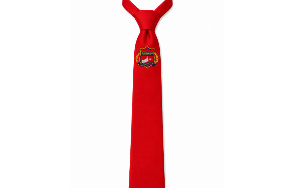 Red Branded School Tie
